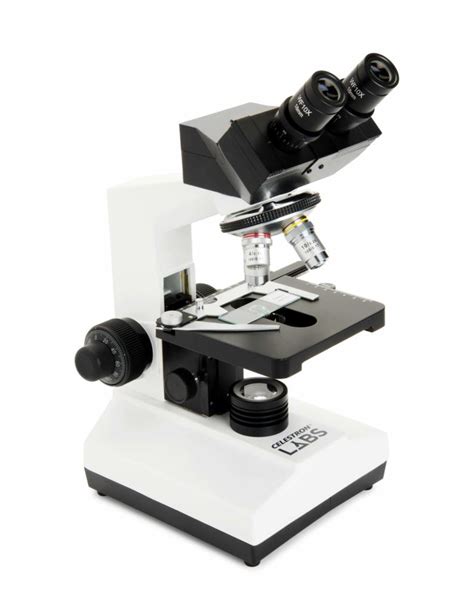 Celestron Labs Cb C Compound Microscope Camera Concepts