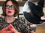Sarah Paulson Reveals Her Adorable New Puppy Winnie Who Is Desperate