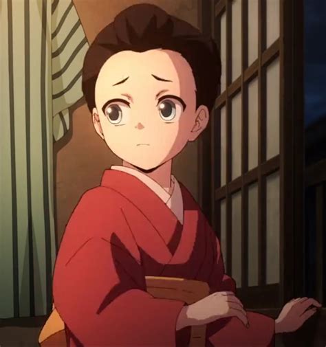 Sumi Shinazugawa Kimetsu No Yaiba Makuai Wiki Fandom