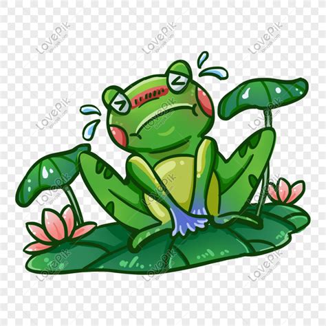 Gambar Katak Kartun Denah