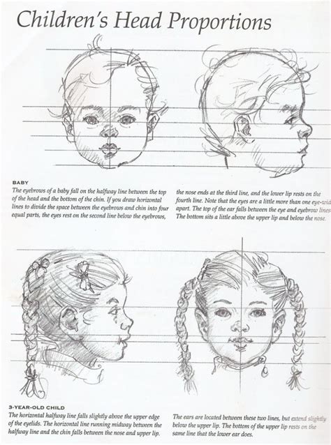 Proportions Of Children Infant And Baby Heads Reference Sheets How