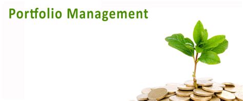 Management Punditz: Portfolio Management Scheme: A unique investment