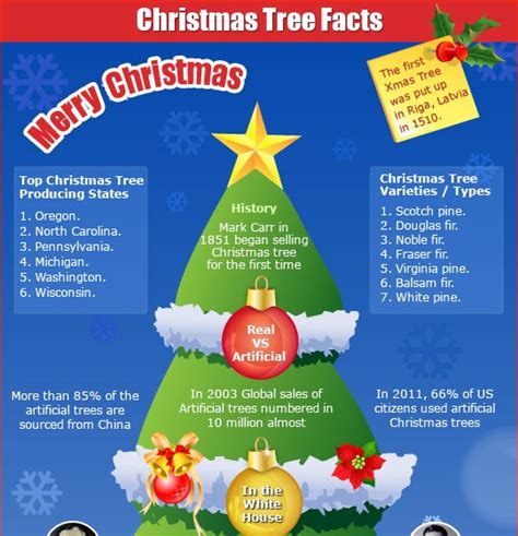 facts about christmas trees 2023 cool ultimate most popular famous wood christmas trees decor 2023