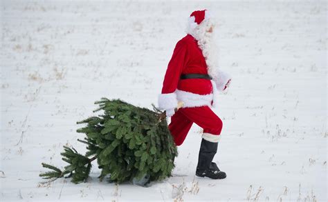 Qui A Inventé Le Père Noël Rouge - Pourquoi le Père Noël est-il rouge ? | www.cnews.fr