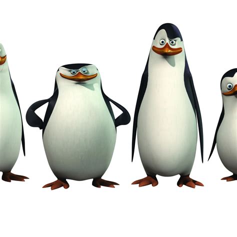 1080x1080 Penguins Of Madagascar Hd Wallpaper 1080x1080 Resolution