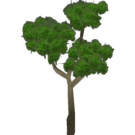 Jackalberries are a type of plant that grow in the pride lands. Jackalberry (Kangorilaphant) | ZT2 Download Library Wiki ...