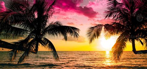 Beautiful Sunset Tropical Beach With Palm Tree And Pink Sky For Travel