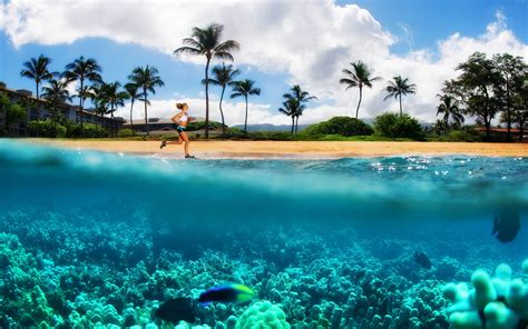 Free Download Hd Wallpaper Kanappali Beach Maui Hawaii Desktop