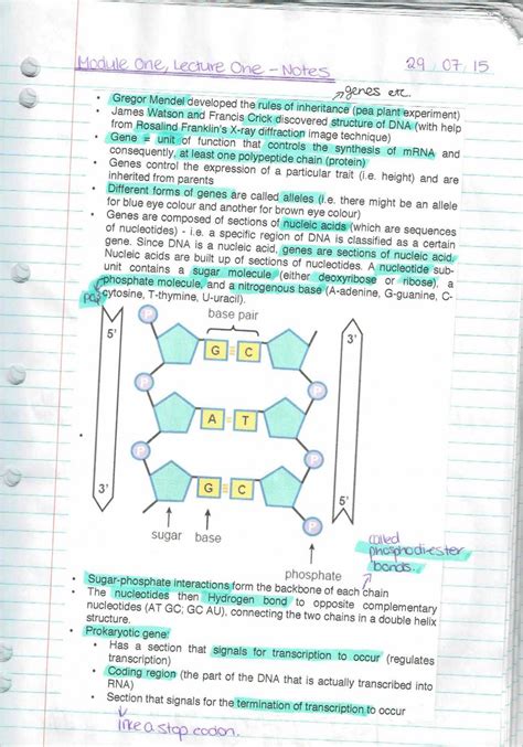 Genetics and Evolutionary Biology Notes | 1042SCG - Genetics and