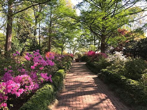 #washingtondc | washington dc photography. Bloom Town: Where and When to See the Best Flower Displays ...