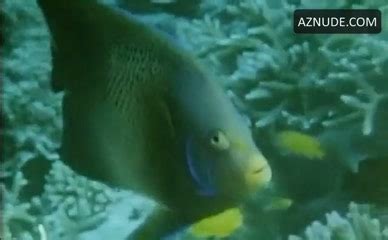 Scuba Diving Videos Playlist Aznude