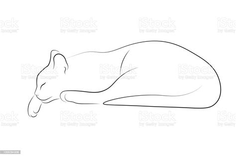 Cat Laying Down Drawing Cute