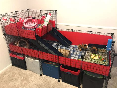 Pin On Clever Guinea Pig Cages And Ideas