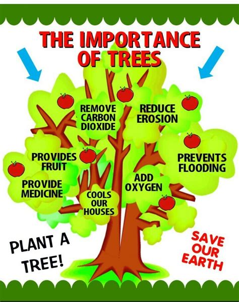 Trees Play An Important Role In Our Life Feeling Of Tree Distributes