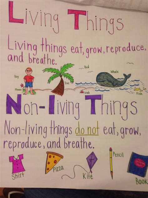 Living And Non Living Anchor Chart Kindergarten Science Science