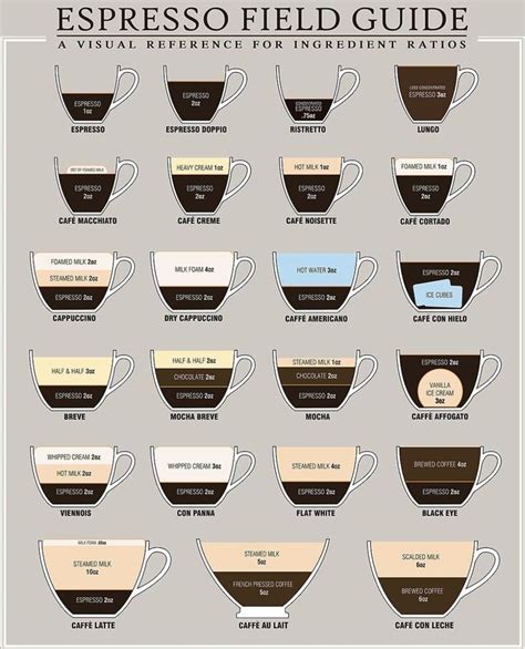 9 major types of coffee drinks explained. Every type of coffee drink explained in a simple ...