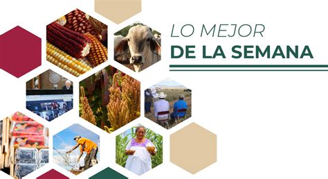 Lo Mejor De La Semana Secretaría De Agricultura Y Desarrollo Rural