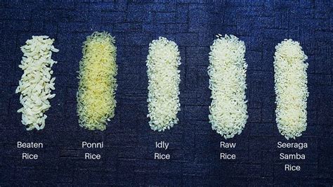 Different Types Of Rice Varieties