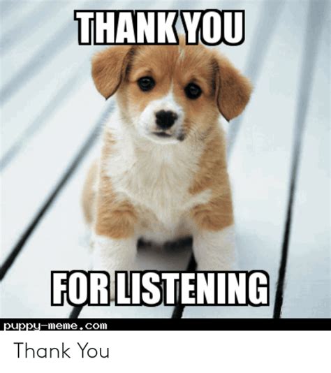 Thank You For Listening Cat Meme