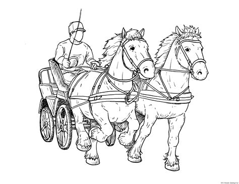 Draft Horse Carriage Line Art Illustrations