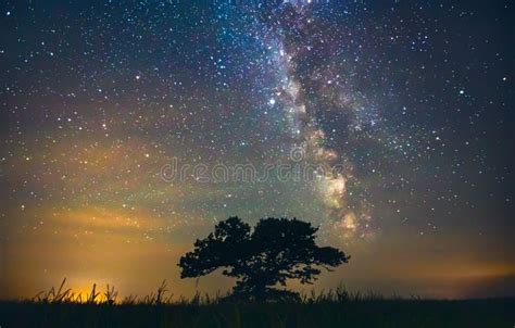 Night Sky Aesthetics Night Sky Stars With Old Oak Tree In The