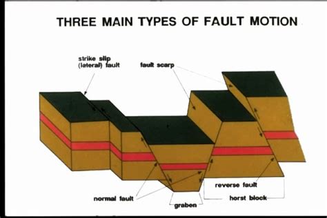 Faulting - Free ZIMSEC & Cambridge Revision Notes