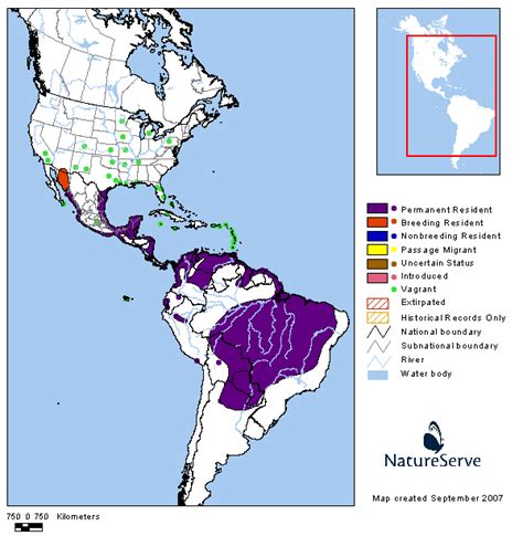 Americas Range Map Black Bellied Whistling Duck