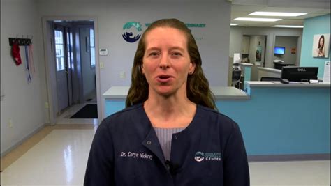 Lisa olson are clinic owners. Whole Pet Vet Health Tip - Home Dental Care : WestfordCAT ...
