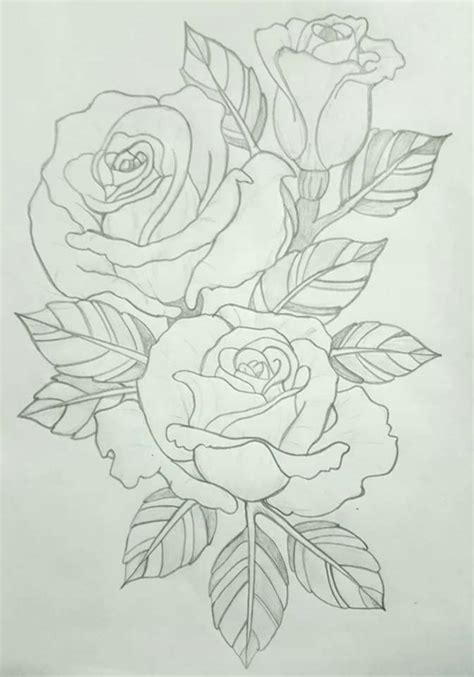 Wie zeichnet man eine rose ? Rosen im Umriss (mit Bildern) | Blumenmalvorlagen, Blumen ...