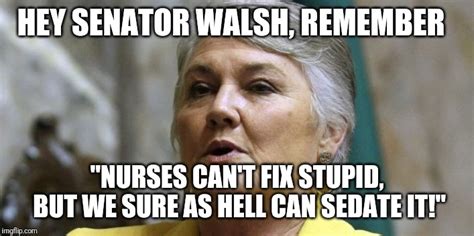Senator Walsh Vs Nurses Imgflip
