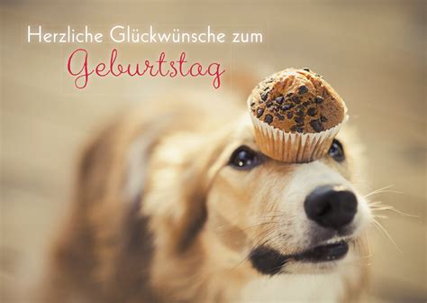 Geburtstagskarte Herzliche Gl Ckw Nsche Hund Stck Grusskarte Kuvert