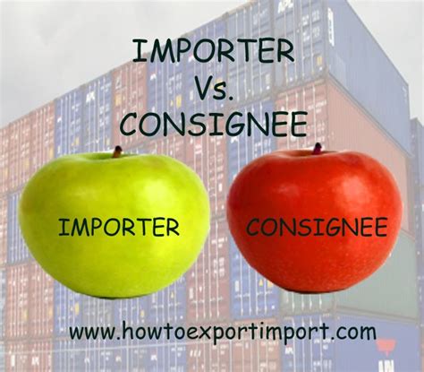 Set up business website and email 3. Difference between importer and Consignee