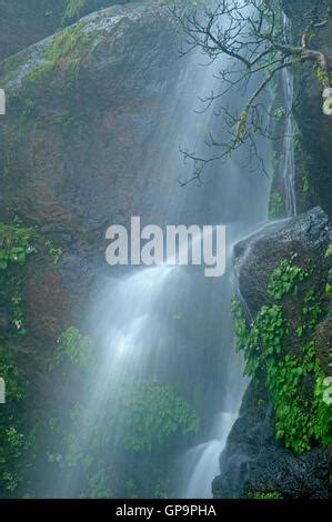 The Image Of Waterfall In Mahabaleshwar Hill Station Maharashtra