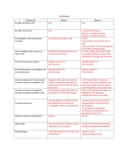 Ask expert tutors you can ask you can ask you can ask (will expire ). 32 102 The Process Of Cell Division Worksheet Answers ...