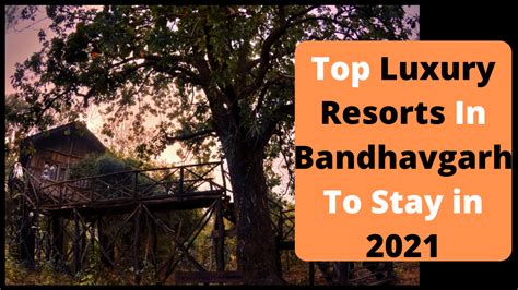Top Luxury Resorts To Stay In Bandhavgarh At 2021