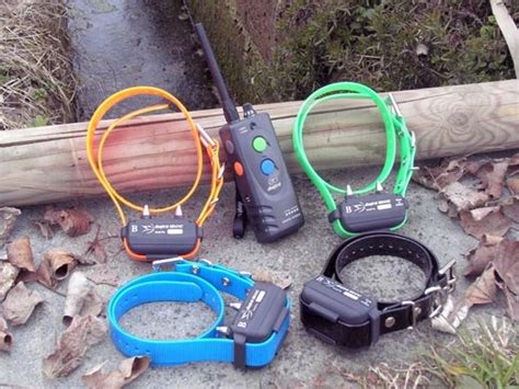 Palmare e due collari come da foto per info cell 3477403020. Collari per cani da caccia - Accesori Cane - Differenze e ...