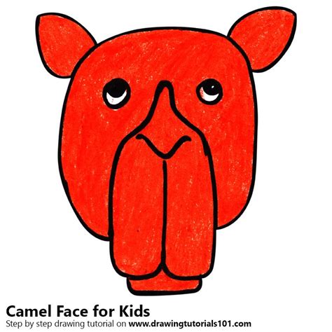 Learn How To Draw A Camel Face For Kids Animal Faces For