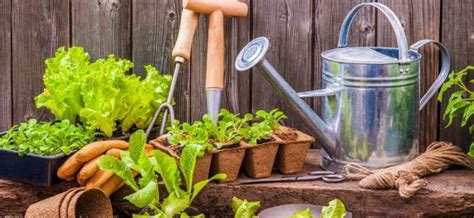 The Healthy Benefits Of Gardening House I Love