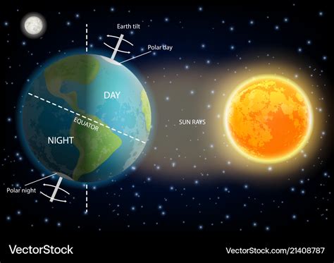 Day And Night Cycle Diagram Royalty Free Vector Image