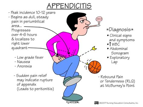 What Are The Causes And Symptoms Of Appendicitis — Your Daily Health Guide