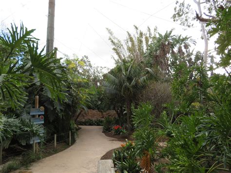 Walk Through Aviary Zoochat