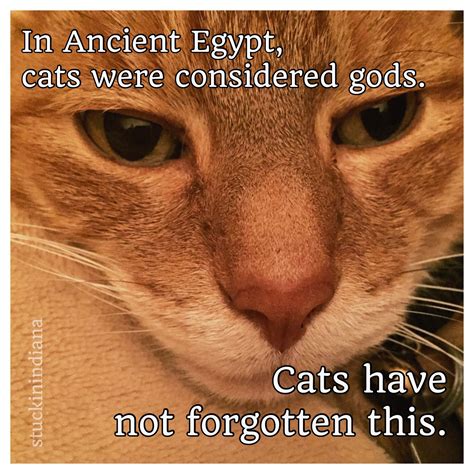 In Ancient Egypt Cats Were Considered Gods Cats Have Not Forgotten