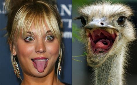 Kaley Cuoco And An Ostrich 10 Celebrities That Look Like