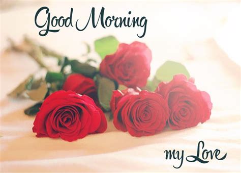 Good morning has gif good morning images for greeting your lovers/friends/relatives and family members. Good Morning Love Quotes & Sayings | Good Morning Love ...