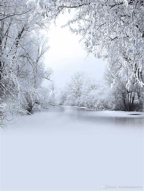 Snow Covered Trees Frozen River Photography Backdrop Vinyl