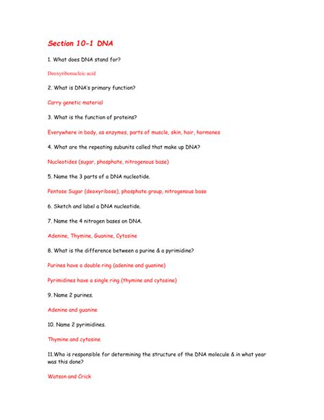 Dna to rna to proteins. 28 Chapter 12 Section 1 Dna The Genetic Material Worksheet ...
