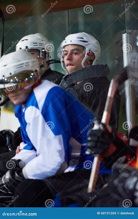 Ice Hockey Players On Bench Stock Image Image Of Skate Exercise