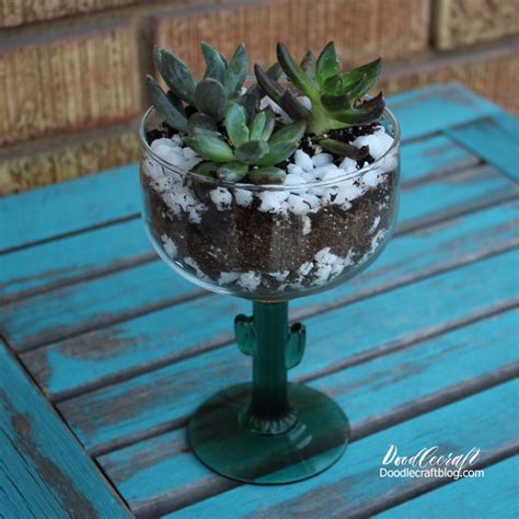 Succulents In A Cactus Glass