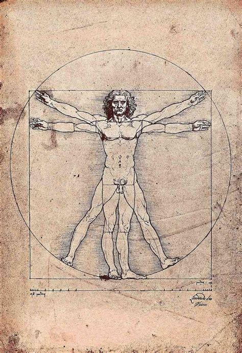 Leonardo Da Vinci Man Circle