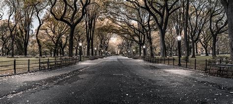 Poets Walk Central Park Wide Format By Nick Psomiadis